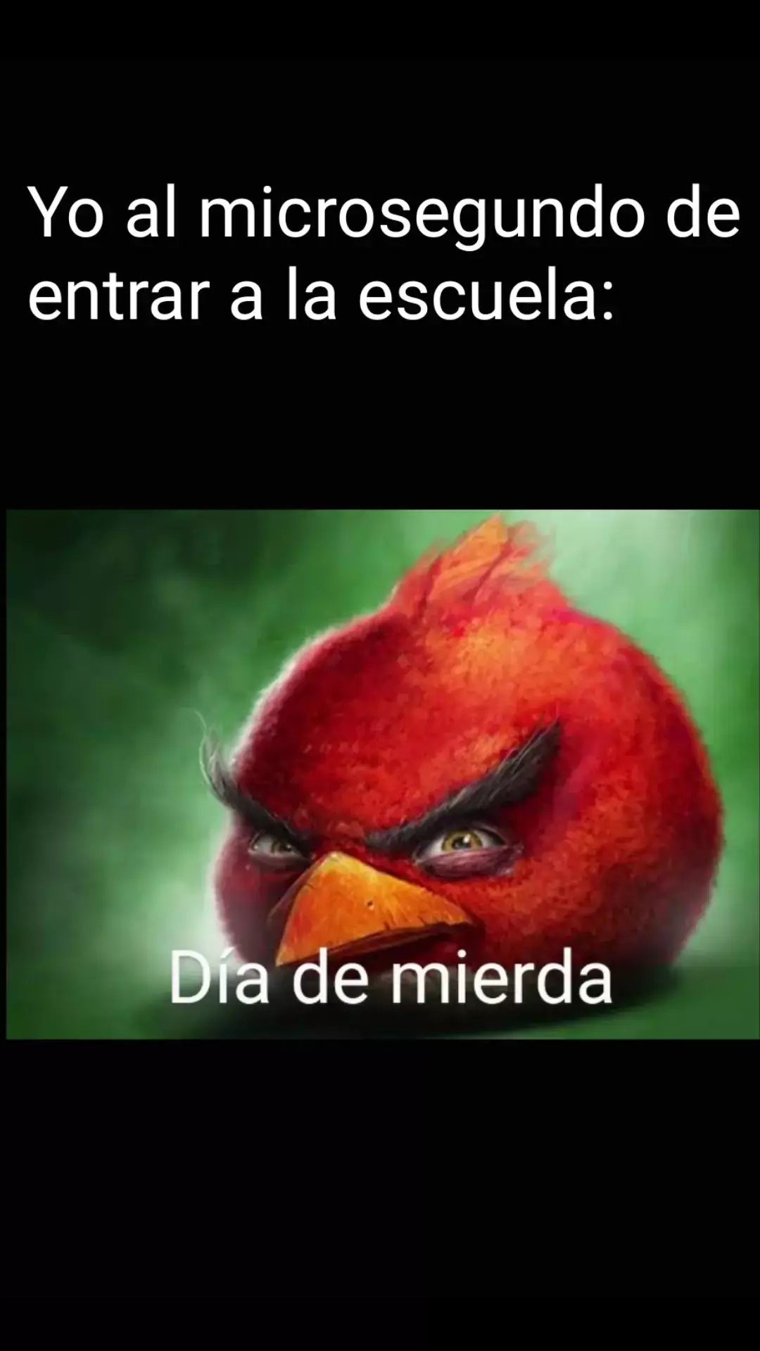 Y el día es más m1erda cuando toca español #red #angrybirds #escuela #diademierda 