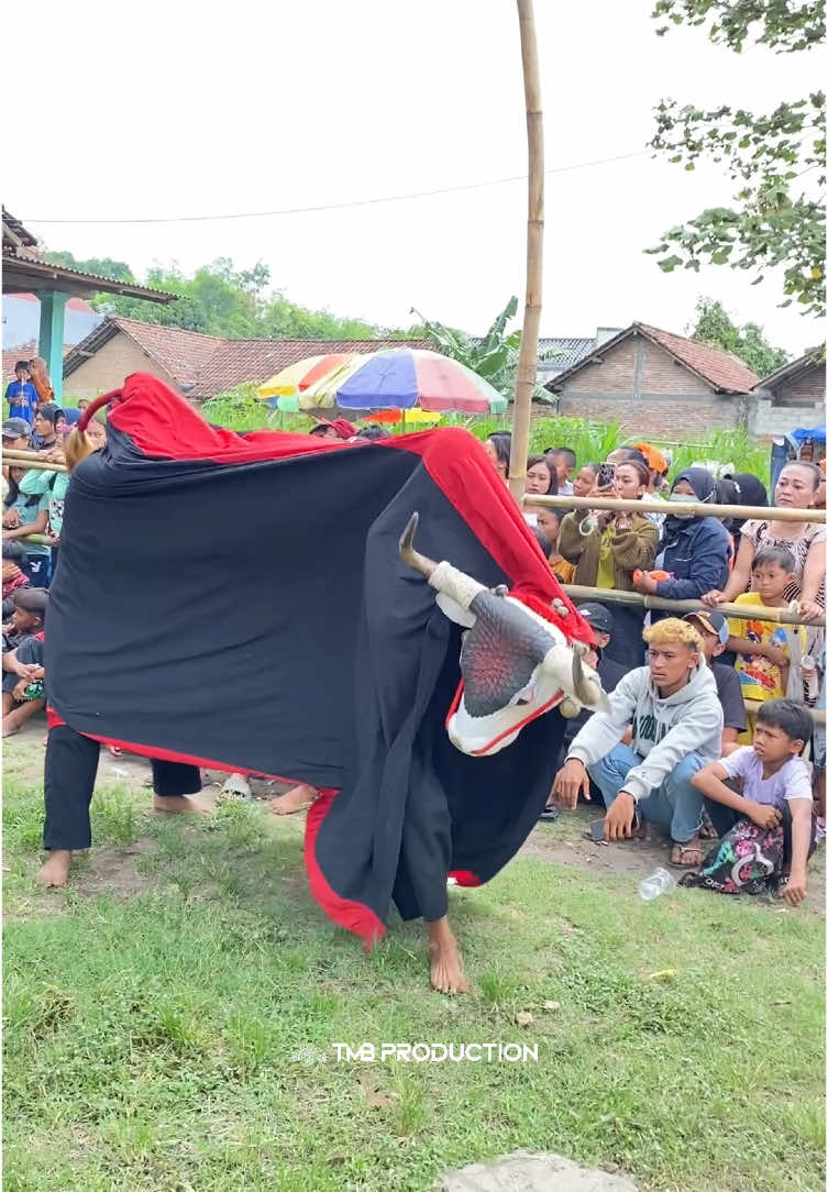 BANTENGAN CAKRA BUANA 🔥 #tmbproduction #bantengan #bantenganmalang #bantengankidalan #bantengankediri #jaranan #turonggomudhobaru 