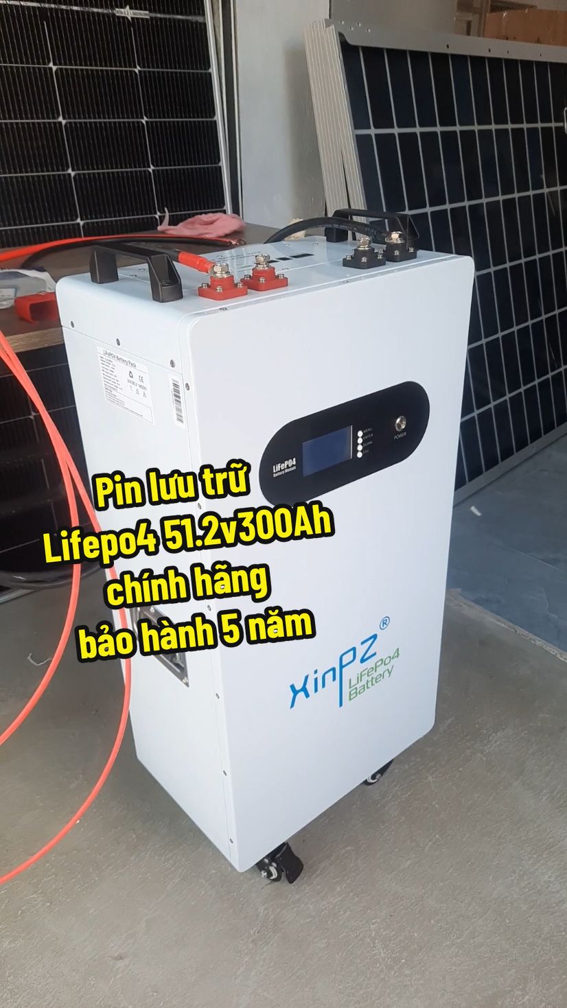 Pin lưu trữ Lifepo4 51.2v 300Ah - chính hãng, bảo hành 5 năm😍#lithium #lifepo4 #pinliffepo4 