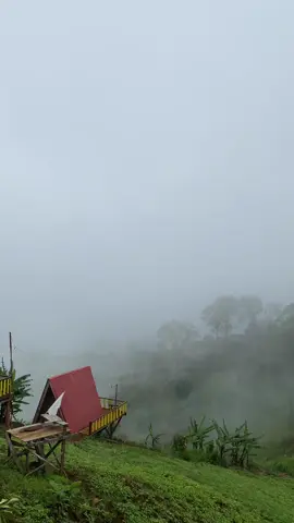 Grabi yung fog 🥶.                                 #nature #foryou #bukid #travel #mtmalindawagoverview #fyp #