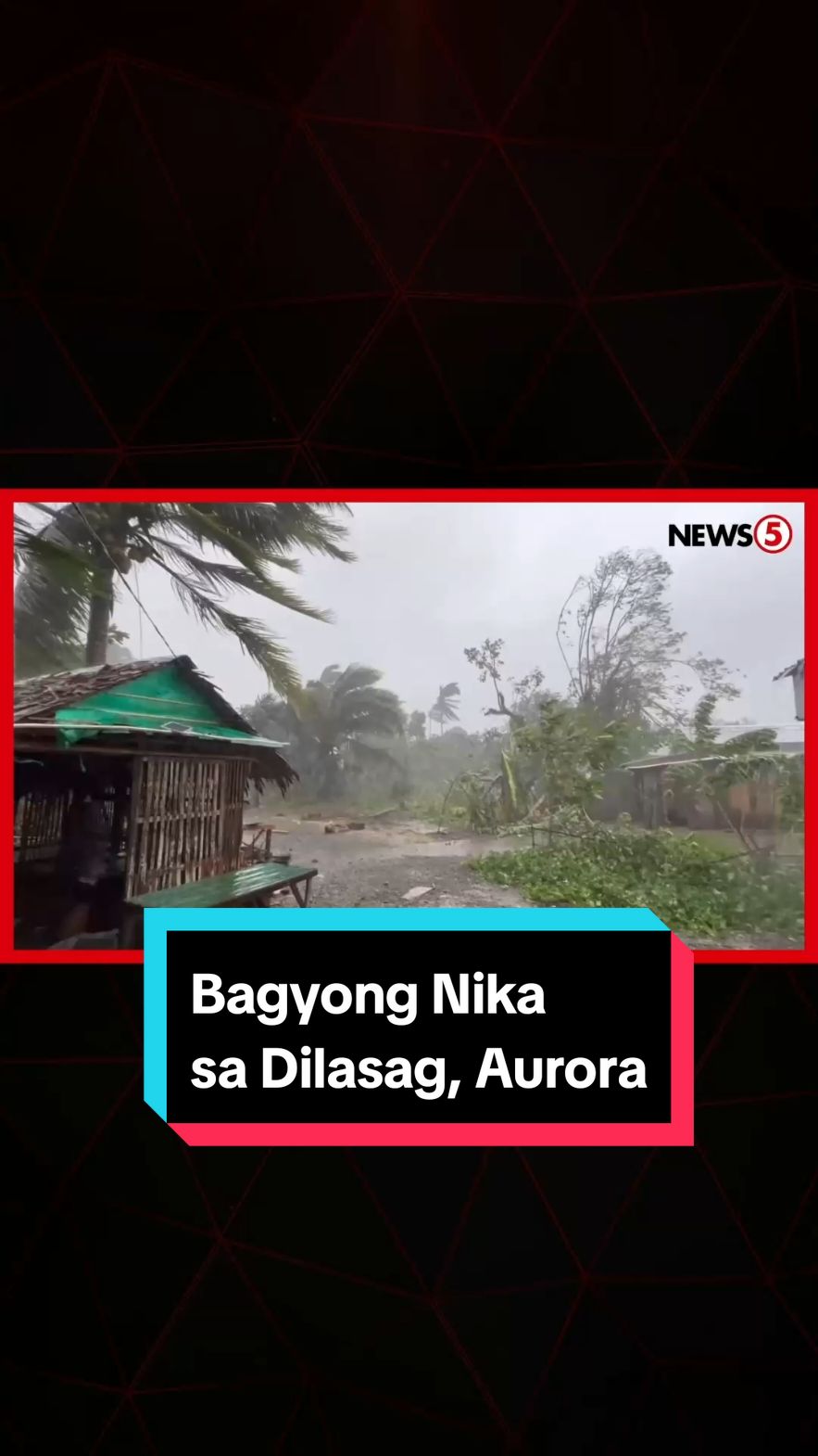 Dama ang hagupit ng Bagyong #NikaPH sa Diagyan, Dilasag, Aurora ngayong Lunes, Nov. 11. Patuloy na binabayo ng malakas na hangin at pag-ulan ang probinsya. #News5