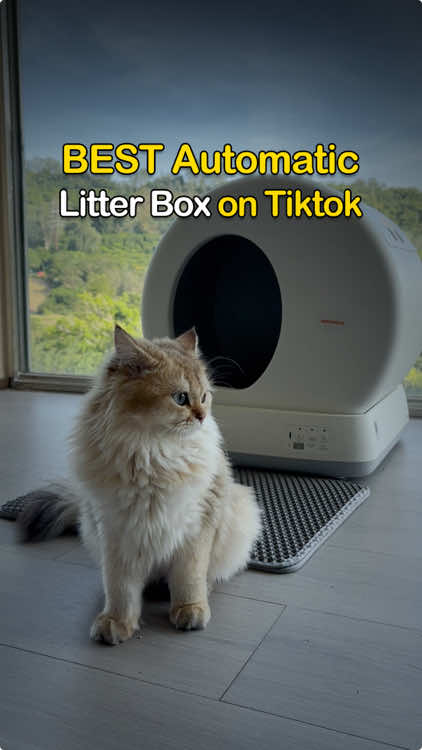 Best. Thing. Ever.#tiktokcat #catlitterbox #meowant #cat #safety #litterbox #selfcleaninglitterbox 