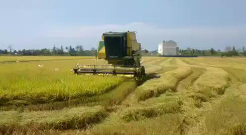 mesin padi 8070