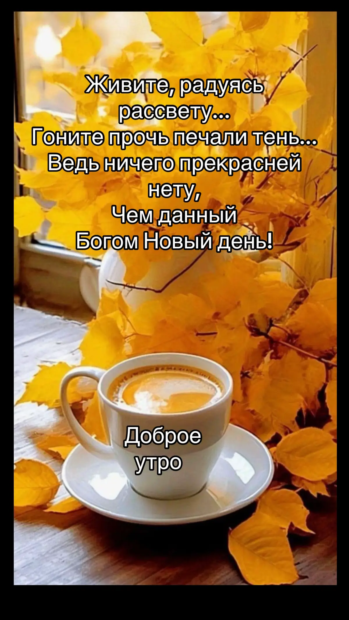 #доброеутро #хорошегонастроения #