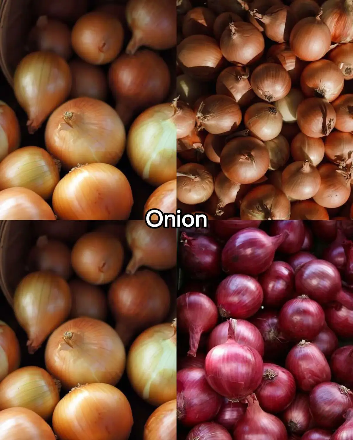 . . . . . . #onion #onionrings #onions #FoodTok #FoodLover #foodies #FoodFestonTikTok #4youpage ##4you #4upage #goviralgo #viral_video #viralvideos #yummyfood #yum #viralfood #foodfyp #foryoupage❤️❤️ #foodfestontiktok #foodies #virel 