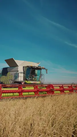CLAAS TRION 730 на полях Казахстана 🌾 Более 500 тысяч историй успеха комбайнов CLAAS. #сельхозтехника #агро #агроказахстан #сельскоехозяйство #урожай2024 #claasmorethanamachine #trionclaas #claastrion #combineharvester #зерноуборочнаятехника #зерноуборочныйкомбайн #сезонсстагро #стагро #ctagro