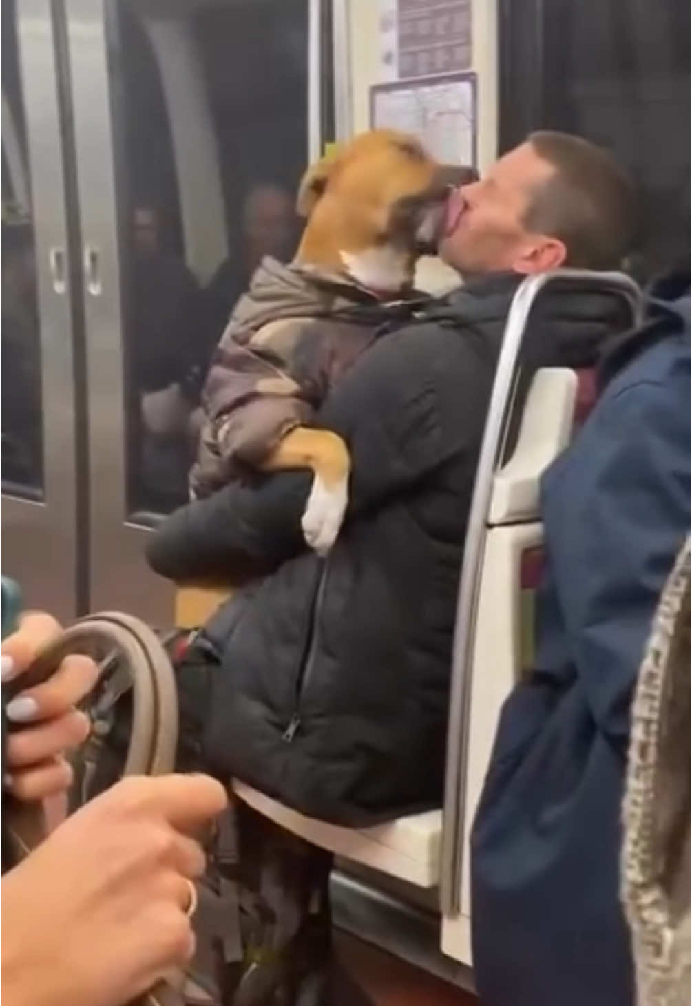 #lesgensdanslemétro #métro #métroparisien #subway #frenchsubway #dogsoftiktok 