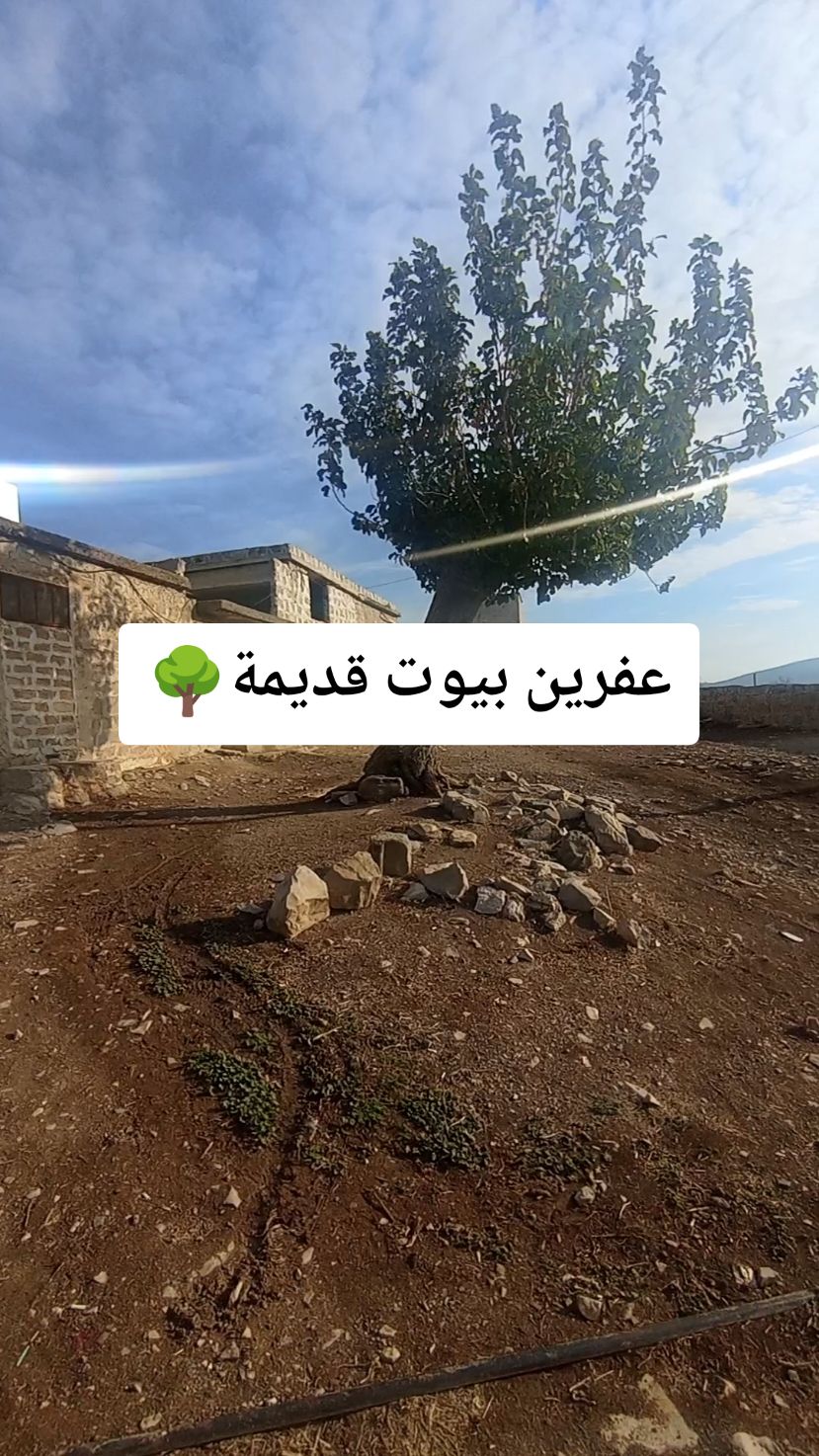 بيوت عفرينية قديمة في قريتنا🌳🍂🏕️. #عفرين_راجو_بلبل_شيه_جنديرس #اوربا_المانيا_النمسا_هولند #سوريا_تركيا_العراق_السعودية_الكويت #cupcut #fyp #tiktoklongs🇵🇰🇵🇰🇵🇰🇵🇰💝💕💞💔🌹💓❣️💘 #اكسبلور #لايك__explore___ 