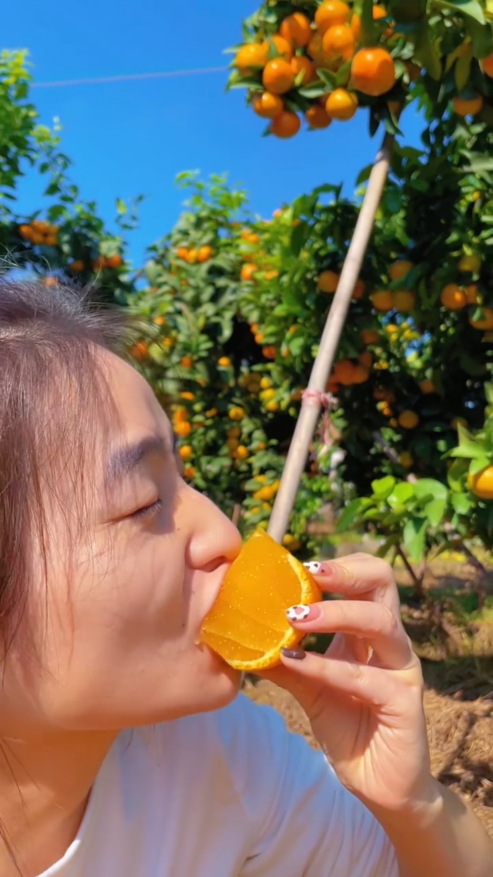 Orange 🍊 fruit so sweet and juicy #fresh #orange #nature #fruit #harvest