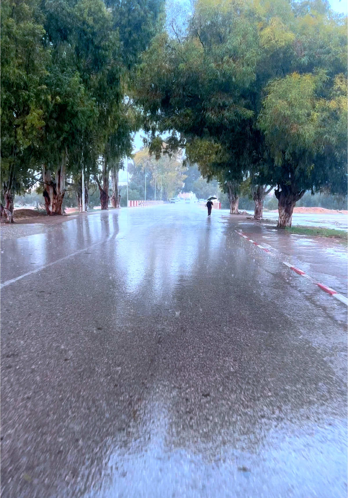 ❤️3030🌧️.                                                 #agareb #sfax #tunisia #fyb #fybシ #foryoupage❤️❤️ #foruyou #forupage #meteo #الشعب_الصيني_ماله_حل😂😂 