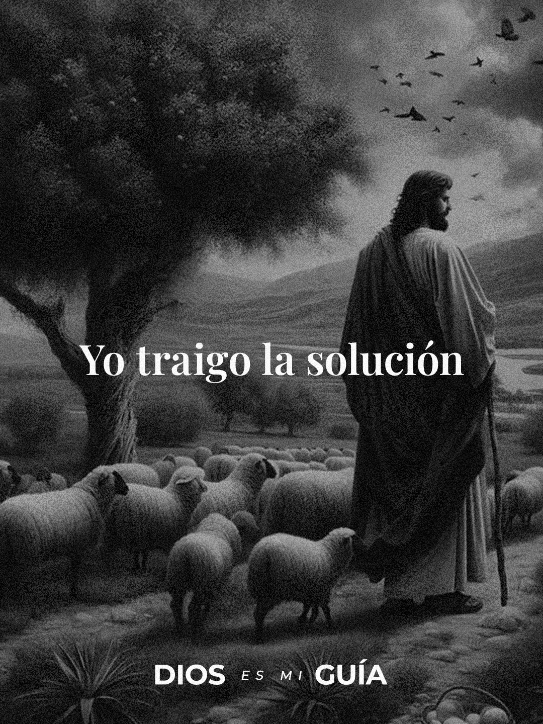 Yo traigo la solución a tus problemas.