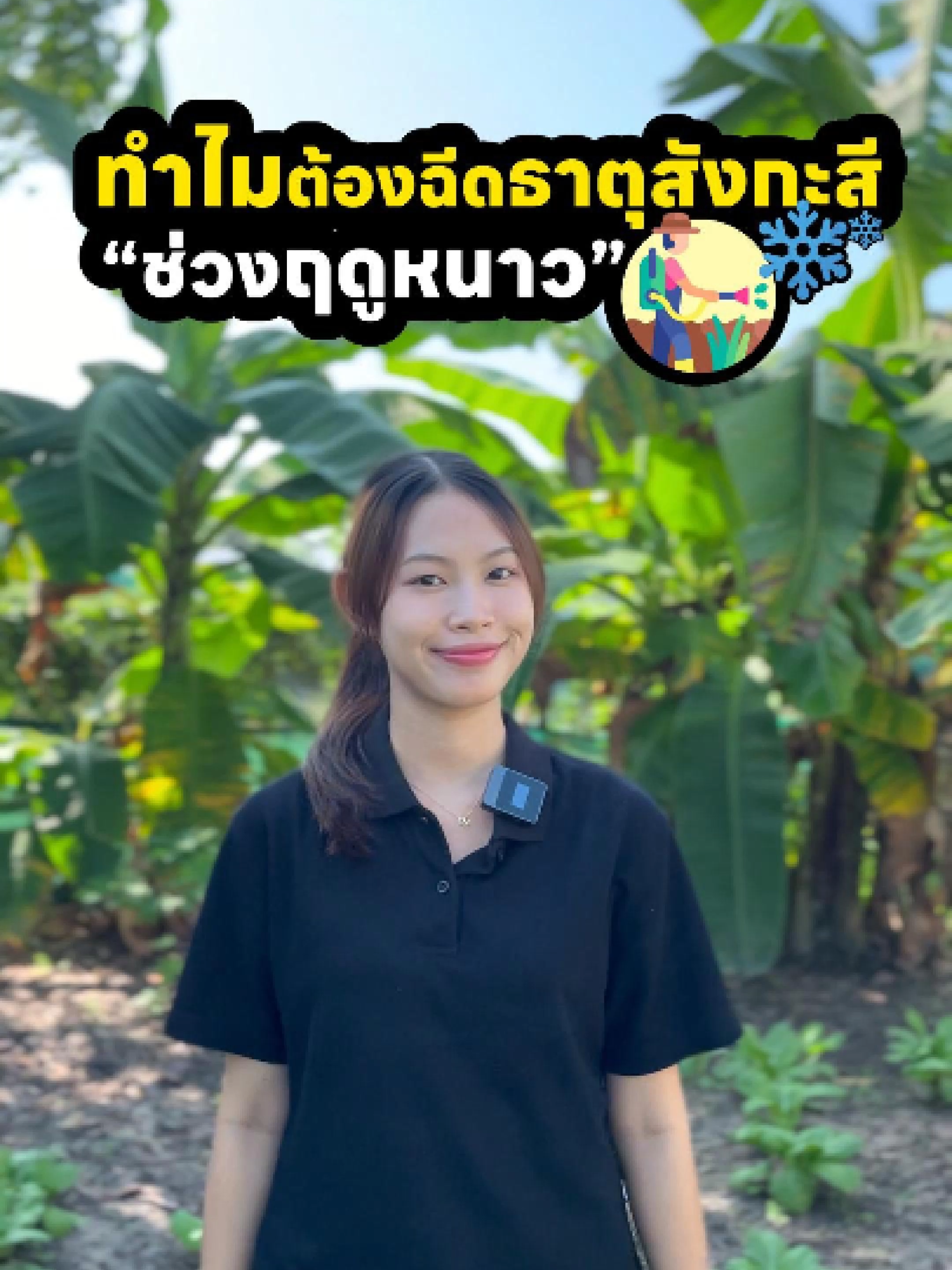 ทำไมต้องฉีดธาตุสังกะสี ในช่วงฤดูหนาว #ปุ๋ยตราลิงแดง #ฟ้าใสเกษตรเงินล้าน #ธาตุสังกะสี  #ซิงค์ #ฤดูหนาว #ใบเหลือง #ข้าว #พริก #บํารุงพืช #ธาตุอาหาร #ฟูกรีนxl #วัคซีนพืชซุปเปอร์ไบโอฟิต #ไคโตซาน