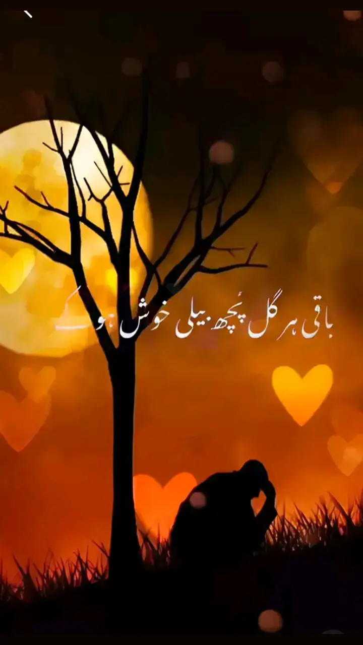 باقی ہر گل پچھ بیلی خوش ھوکے Hello Dear TikTok Team Please Don't Underviews My Video #Baba #bhulleshah_lines✨❤️ #poetryvideos125s #viral #foryou 