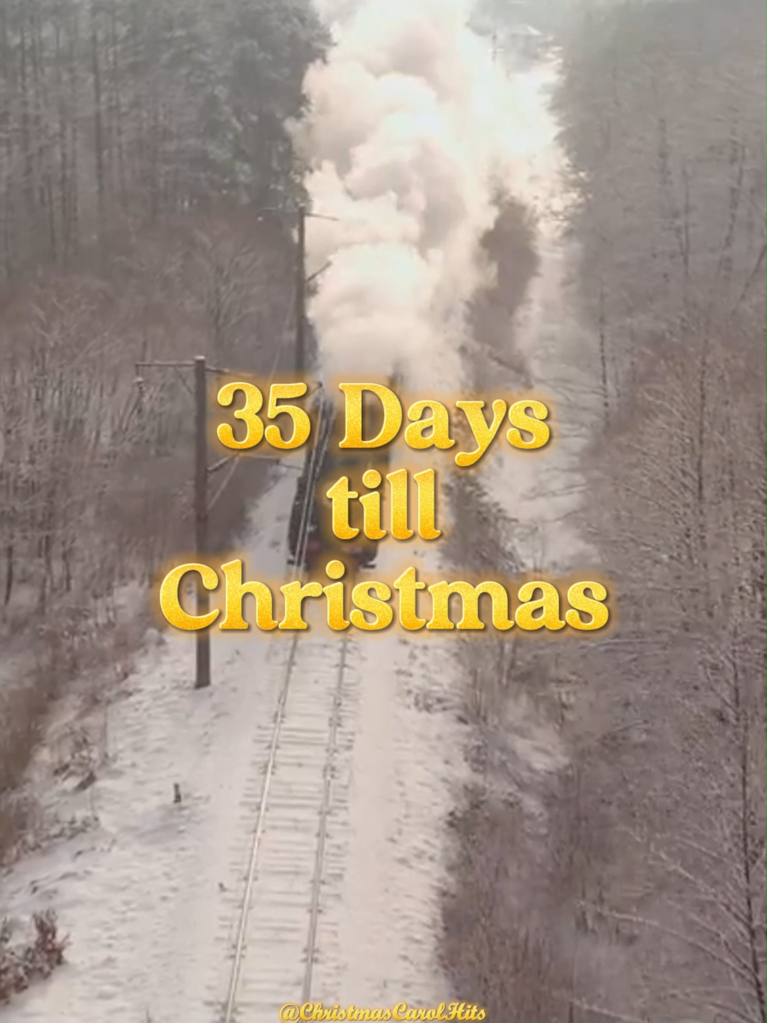 35 Days Till Christmas #christmas #christmas2024 #christmascountdown #christmassong #christmasmusic #christmastiktok #christmastree #natale #natale2024 #santaclaus