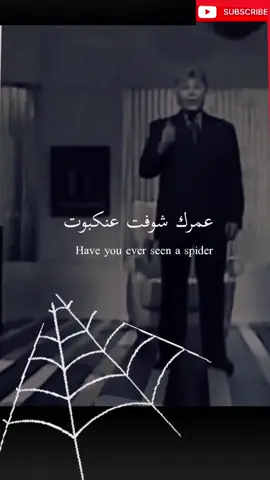#عنكبوت#الإردادة#القوة#إبراهيم_الفقي #اكسبلورexplore❥🕊 #تريند_التيك_توك #viral 