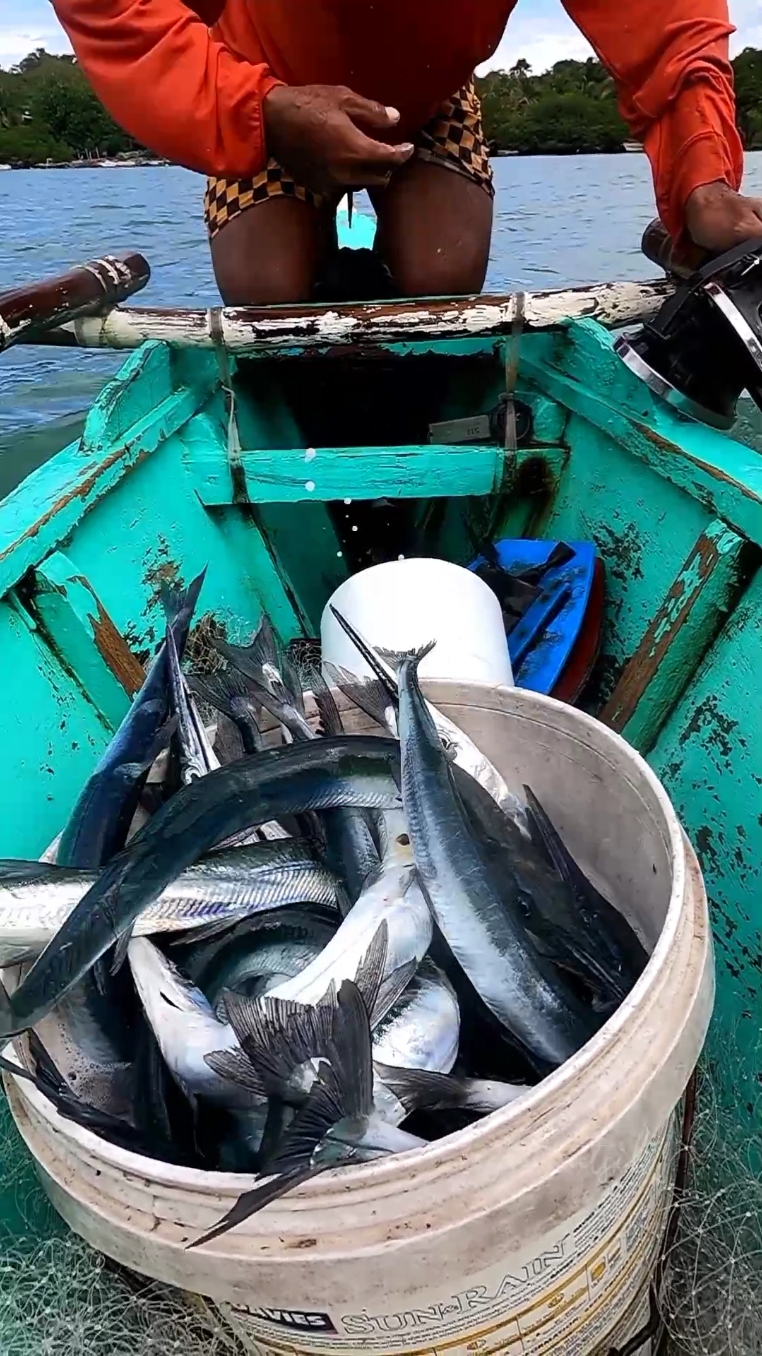 ayos puno #fishing #seafood #teamwatsik🔥 #pagbilaoquezon #buhayprobinsya #fishcatching #buhaydagat #fishinglife #