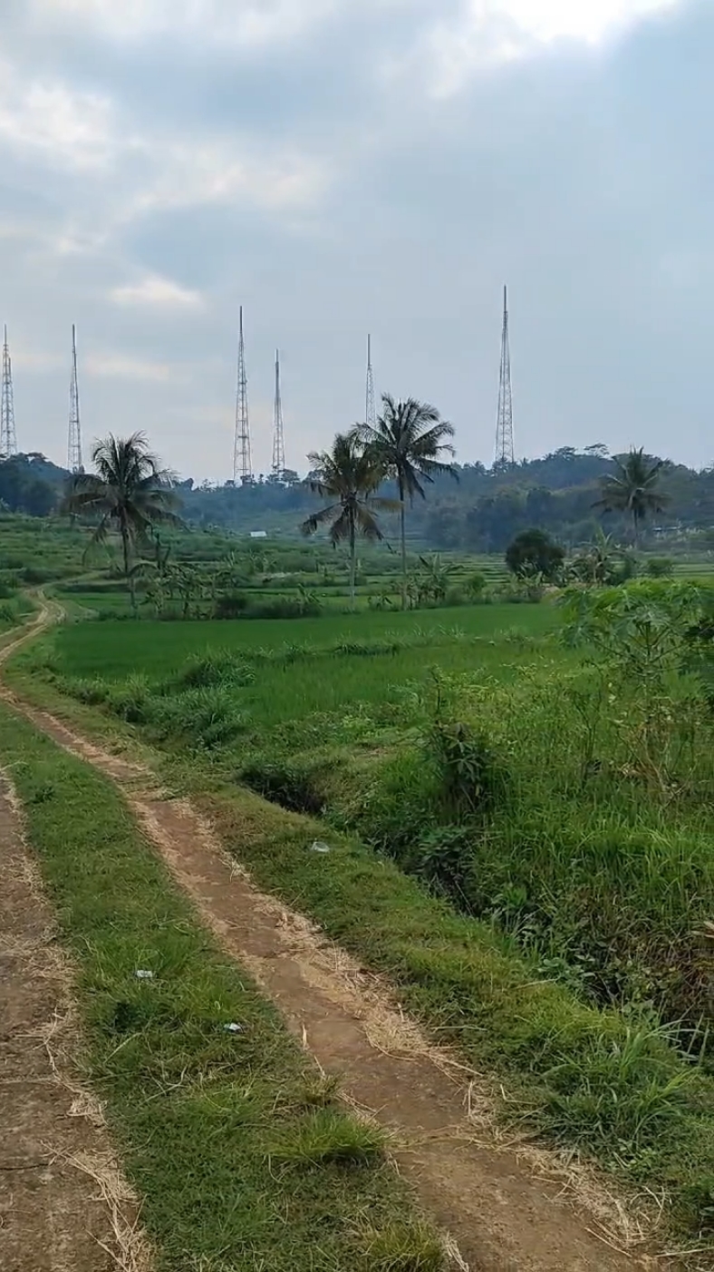 Menikmati ciptaanNya....