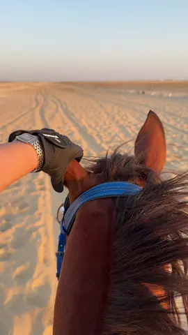 #خيل_وخياله🐎 #السعودية🇸🇦 #foryoupage 