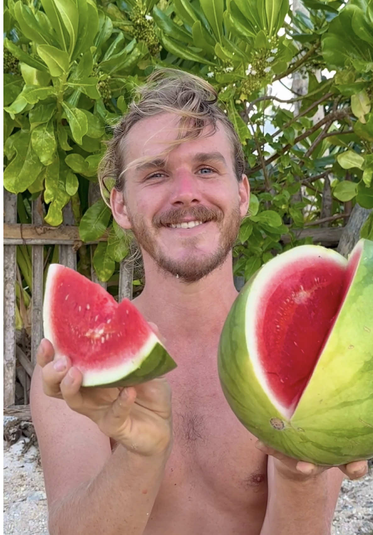 How to choose a watermelon so it is crisp and sweet every single time🍉💯 Share reel with someone who needs to know about this! #fruit #rawvegan #veganfood #Foodie #foodporn 