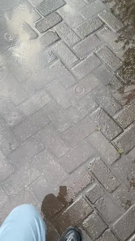 #tambunofslow 