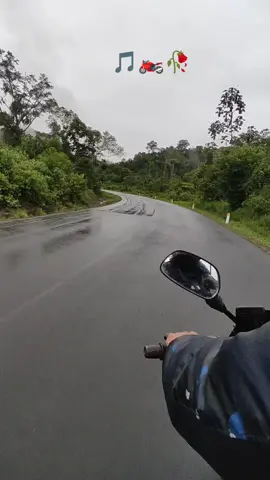 🏍️🎵❤️‍🔥🍀🎶 #fyp #selvaperuana💟 #pulsar150 #selvacusqueña🇵🇪😍 #viajandoenmoto🏍️ 