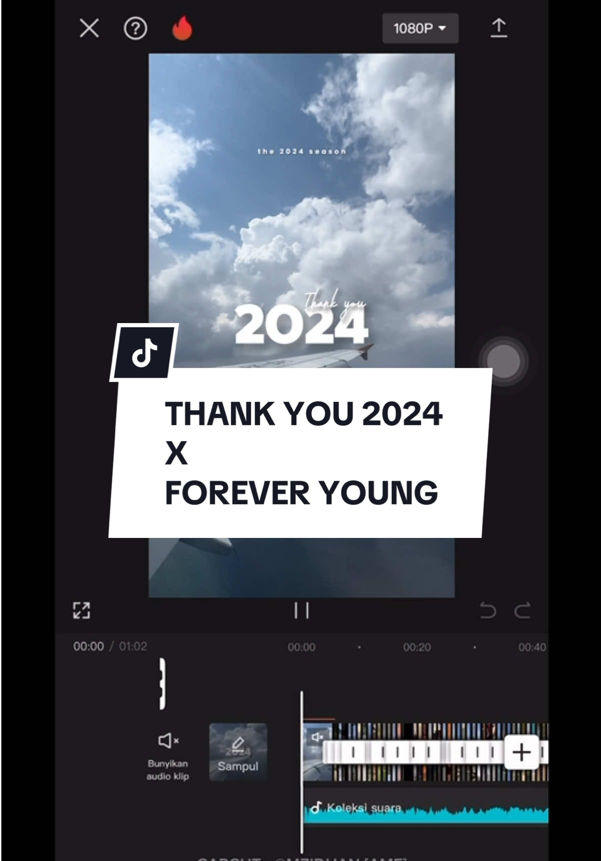 Thank you 2024 X Forever Young | #sz_template  #CapCut #recap #dump #recap2024 #thankyou #thankyou2024 #trendingvideo #templatecapcut #fyp #foreveryoung 