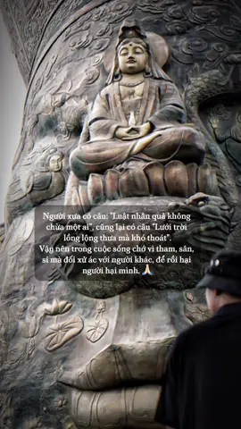 Nhân quả công bằng khi đủ duyên. Gieo nhân tốt ắt gặp quả tốt. 🙏🏻 #đạophậtvàđờisống 
