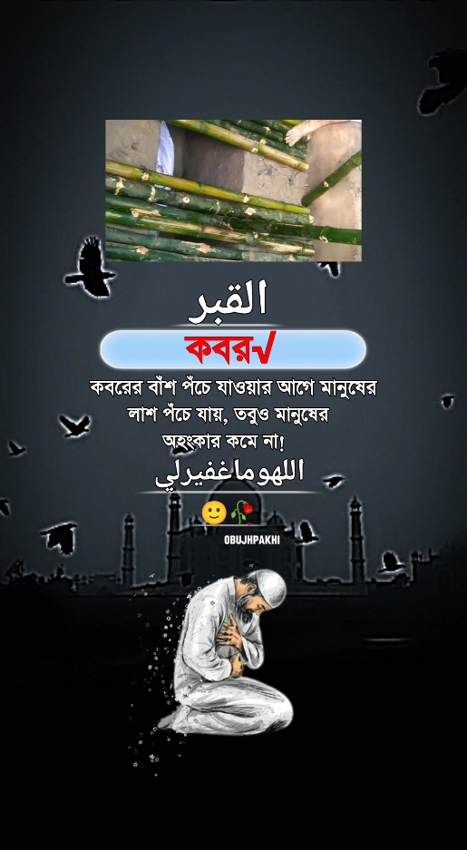 আল্লাহুম্মাগফিরলী #🤲🤲🕋🕋🤲🤲 #obupakhi131 #ইসলামিক_ভিডিও_🤲🕋🤲 #foryoupagee #bdtiktokofficial🇧🇩 