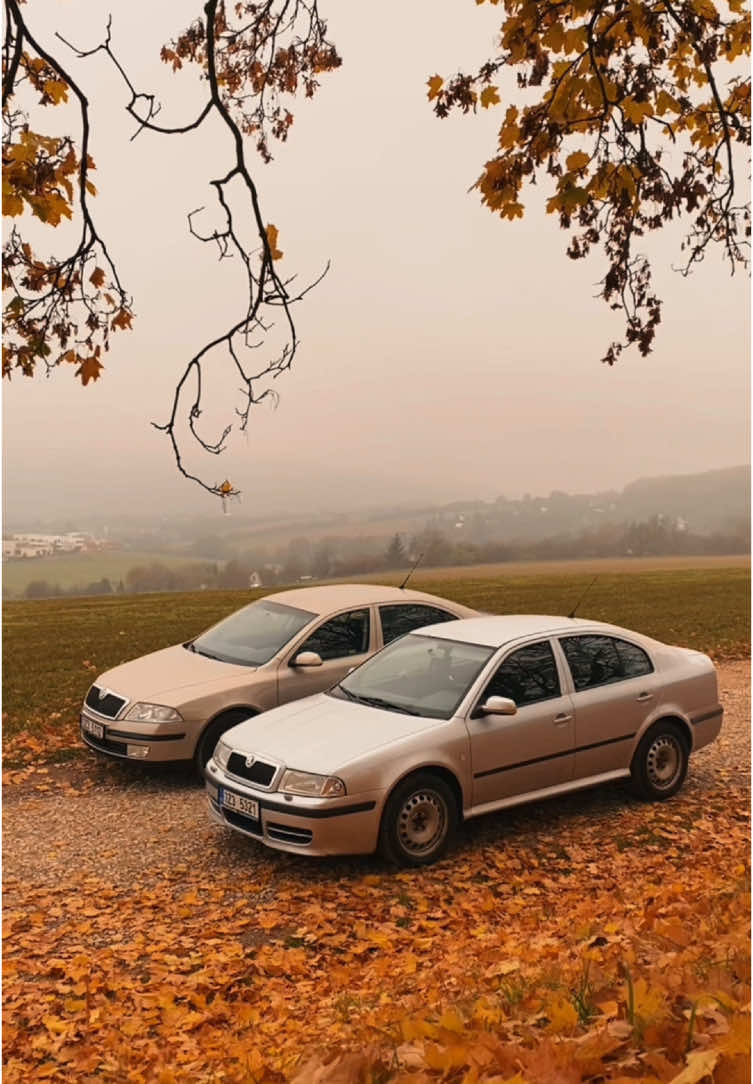 Mk1 & Mk2 #skoda #octavia #skodaoctavia #mk1 #mk2 #fyp #foryoupagee #tdi #19tdi #czechrepublic🇨🇿 #fall #fog 