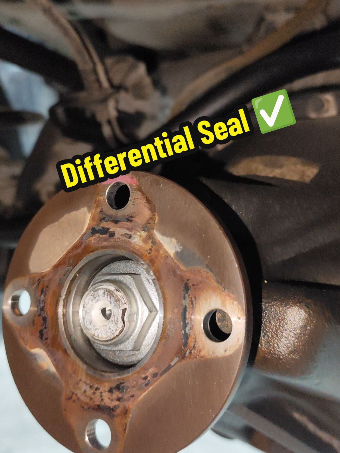 Replace front Wheel Differential oil Seal #auto #mechanic #shorts #ideas #usa🇺🇸 