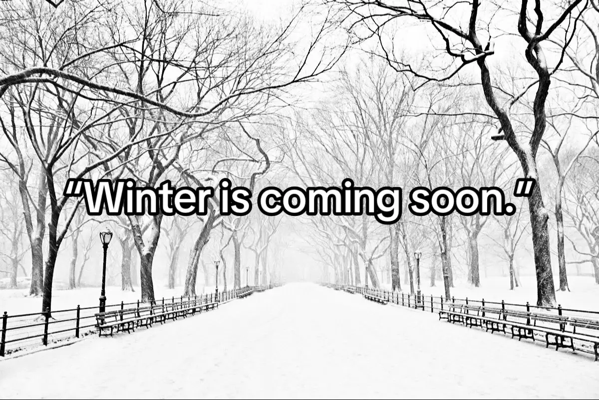 #winter #winterseason #snow #snowchance #weather #weatherprediction #prediction #fyp #foryoupage #viral 