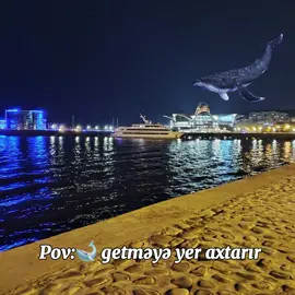 #azerbaycan🇦🇿 #azerbaijan #azərbaycan #baki #bakı #balina #baku #xezerdenizi #keşfett 