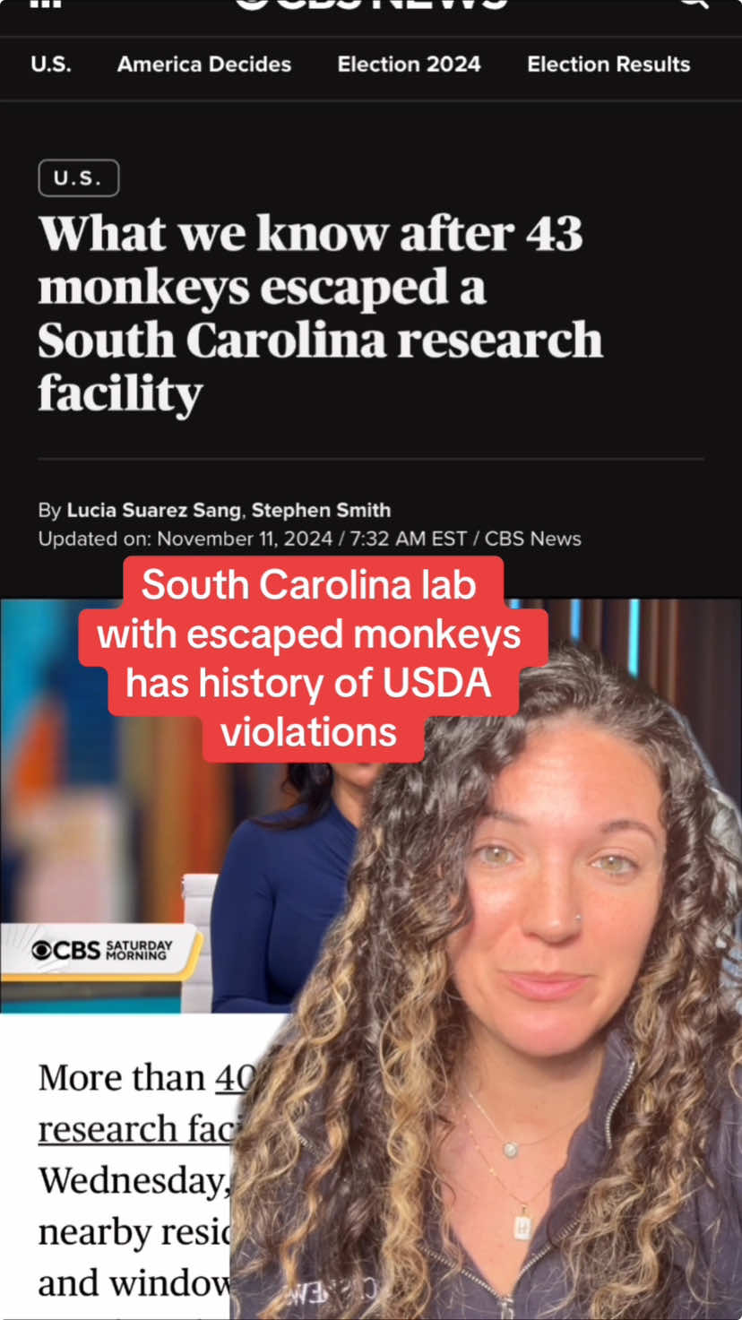 Alpha Genesis, the South Carolina research facility that 43 monkeys escaped from on Nov. 6, has a history of USDA violations — and another monkey escape in 2016. “Every couple of years we’ll have one or two that get out,” Alpha Genesis CEO Greg Westergaard told CBS News. “We have never had this many get out.” Here’s what we know. Read more at CBSNews.com #yemassee #southcarolina #beaufortcounty #monkey #escaped #animalresearch #alphagenesis #rhesusmacaque #animal #news 