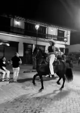 Si esto no es vida, Que me operen JAJAJA 🥳😂🤭#caballistasdecorazon #caballoscolombia #fypシ #caballosbailadores 
