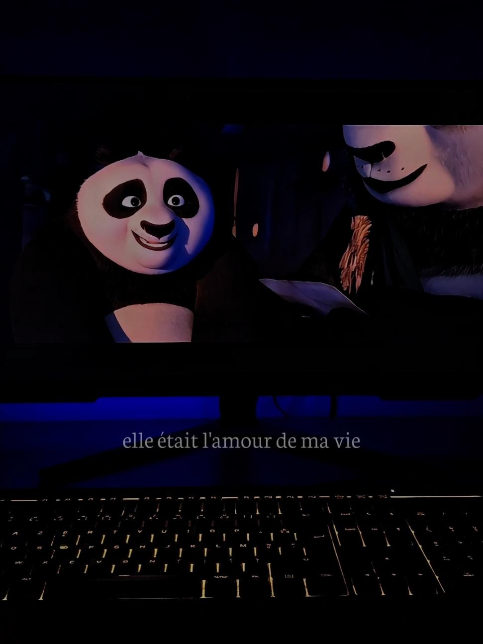 elle était l'amour de ma vie... #anime #kungfupanda #animeedit #sad #citation 