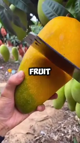 What's your favorite fruit? 🤩 #healthy #health #healthylifestyle #Fitness #hearthealth #SelfCare #productivity #inspiration #motivation