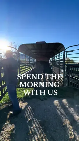 Happy Veterans Day! #eatbeef #beefcattle #cowcalf #agriculture #stockyards 