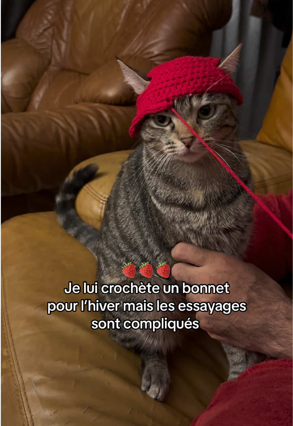 Crochet cat strawberry hat 🍓 #fyp #cathatcrochet #chat #crochetchat #cathat #crochetaddict #crochetersofinstagram #crocheting #crochetlove #crochetinspiration #crocheted #crochetlover #crocheteveryday #montpellier #grannysquare #grannysquarebag #handmade