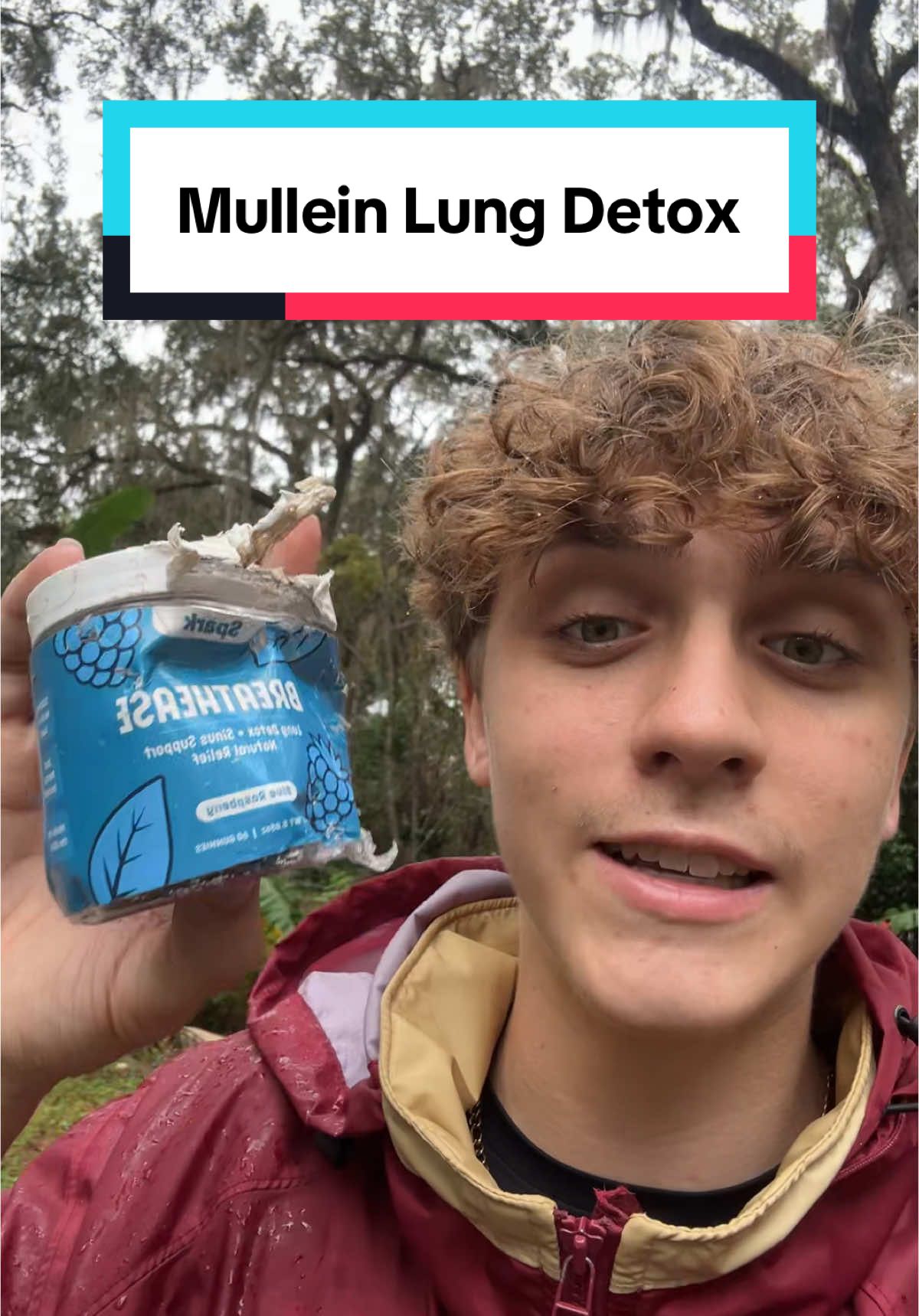 At least i can breathe clearly now😭 #mullein #mulleinleaf #smoker #smokers #lungdetox #lungs 