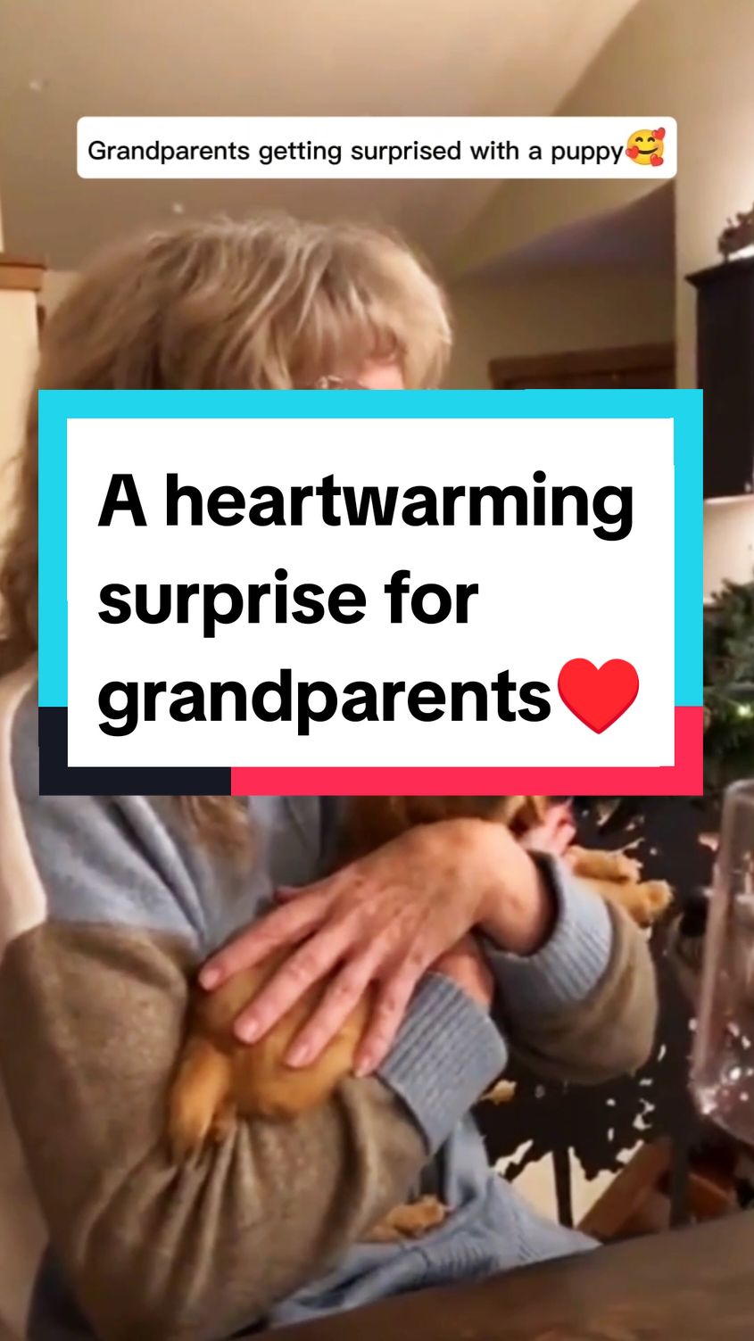 These moments are not to be forgotten #puppy #birthdaysurprise #puppysurprise #emotional #heartwarming #grandma #grandparents #foryoupage #puppydog #family #goviral #christmassurprise 