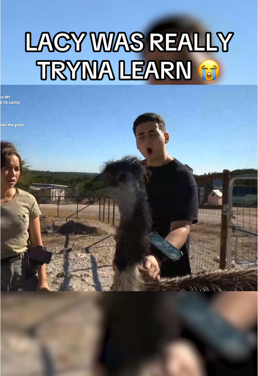 #live #twitch #twitchclips #clipfarming #faze #lacy #texas #maya #alveussanctuary #animals 