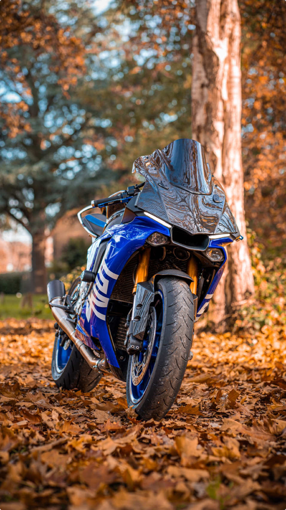 Never let me go 🍁 #yamana #yamahar1 #r1 #yzfr1 #1000cc #scprojectexhaust #motorbike #motorcycle #bikelife #fyp #foryoupage #reels