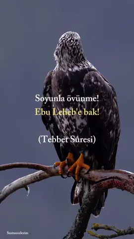 #keşffet#övünme#eyinsan#oğlu#malınla#mülkünle#ilminle#toprağınaltı#var#anlamlısözler #Hüsamettin51 #kesffet #kesffet #kesffet #kesffet #kesffet #kesffet #kesffet 