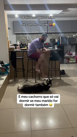 Dormir só se o papai for també🤷🏻‍♀️😂 #cachorrosdotiktok #cachorros #cachorrosfofos #dog 
