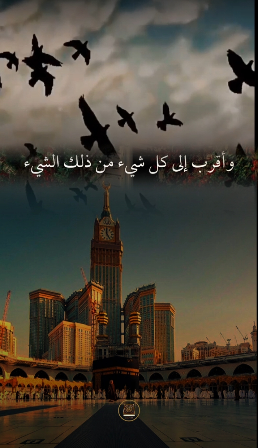 رب كل شي 🤲 #دعاء #قران #تلاه #تلاوة_خاشعة #alraha_alnafsia #دعاء_جميل #foryou #capcutvelocity 