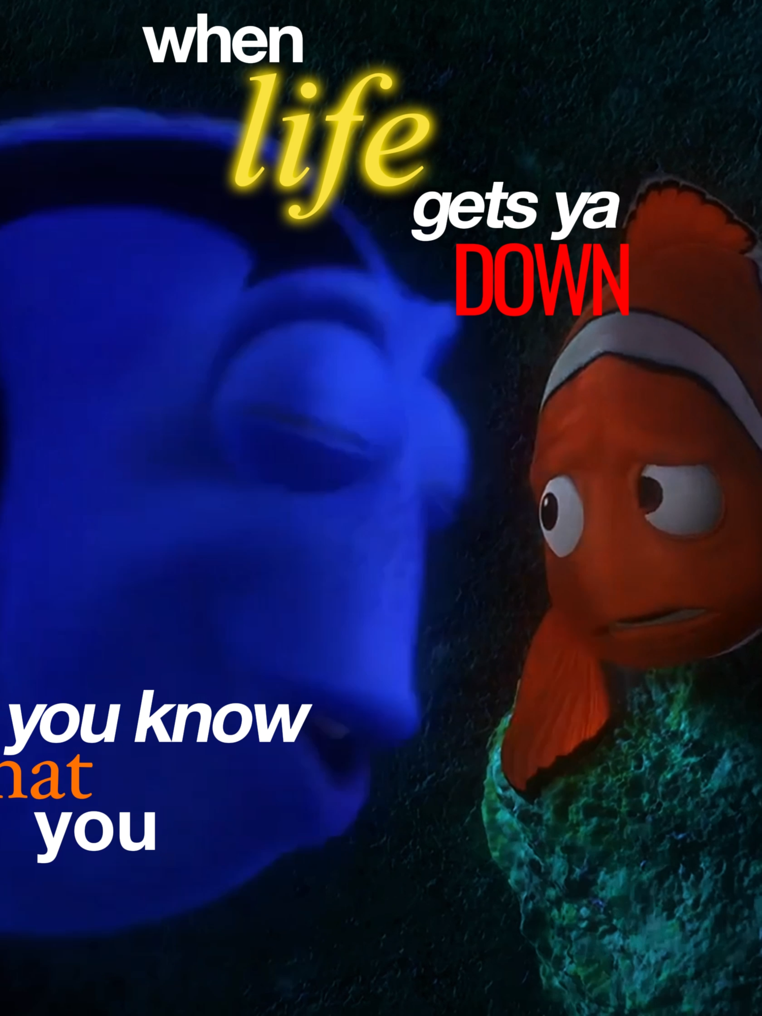 You HAVE to keep swimming