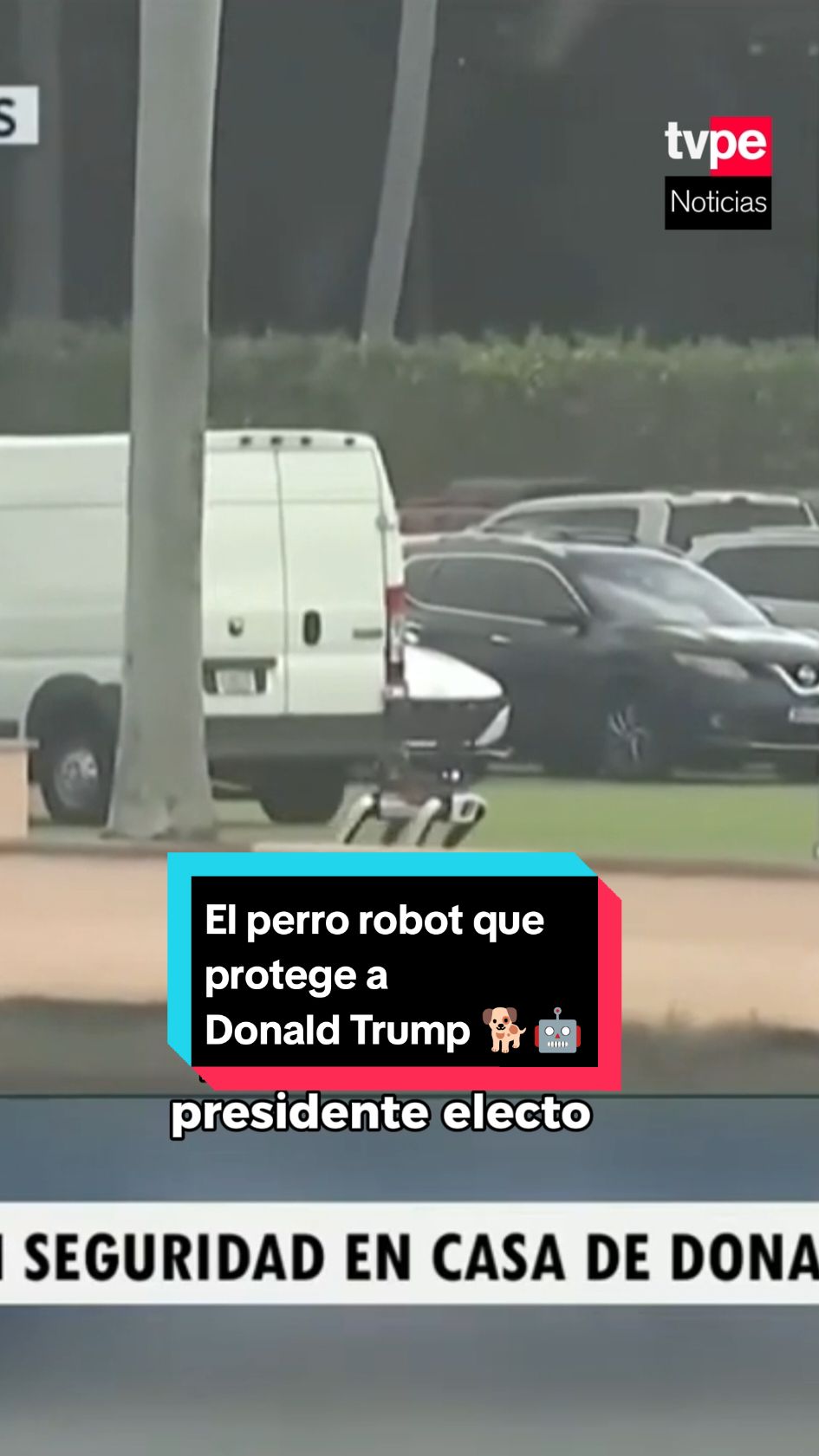 🐕🤖🇺🇸 Un particular equipo de seguridad para #DonaldTrump. El Servicio de Inteligencia de los Estados Unidos refuerza la seguridad en la casa del presidente electo con un perro robot equipado con sistemas de vigilancia. 🕵️ Un gran cartel de advertencia en el costado del perro robótico dice: 