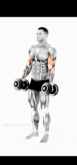 Curl de bíceps estilo martillo, con mancuernas#Rutina #Gimnasio #mancuernas #Fitness #entrenamientoonline #encasa