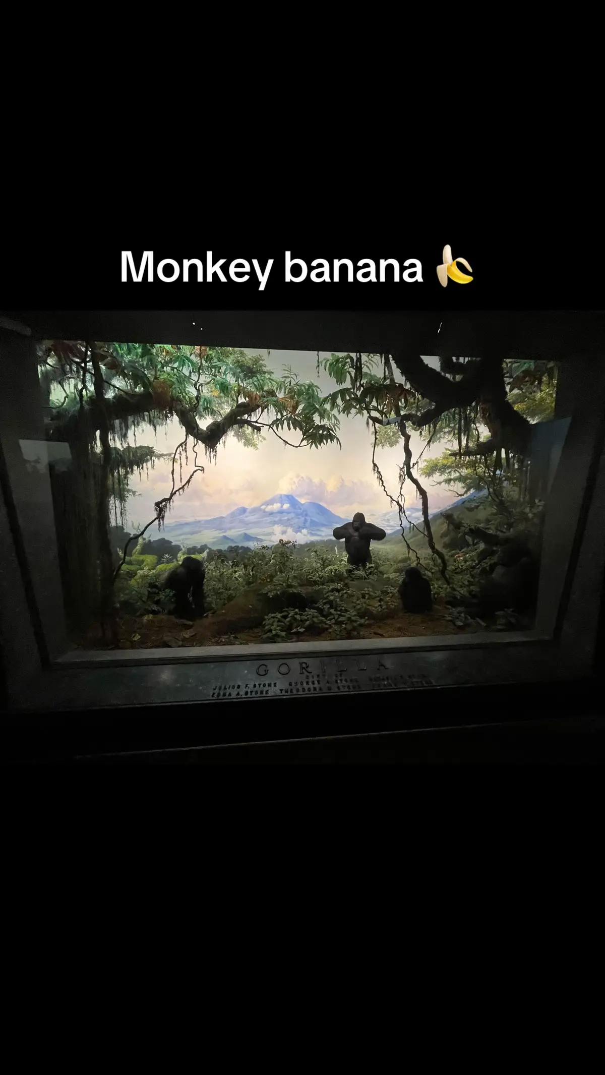 Monkey banana 🍌🦍 (THIS VIDEO WANT VIRAL) #monkeybanana #monkey #monkeydance #fyp 