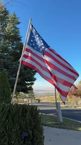 Veterans Day Gratitude from Dave's Auto Center #autoshop #autorepair #enginebuild #enginerepair #enginebuilding 